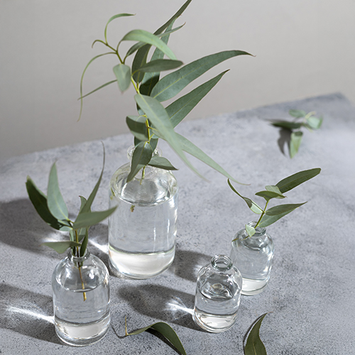 Olejek eukaliptusowy Lotus: silna odpowiedź natury na ból stawów, mięśni i dolegliwości oddechowe