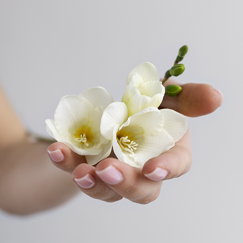 Żel do mycia twarzy z czarnuszką i jaśminem: równowaga dla skóry tłustej