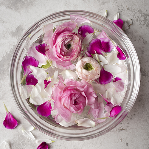 Płyn do mycia twarzy Rose: codzienna dawka delikatnej świeżości